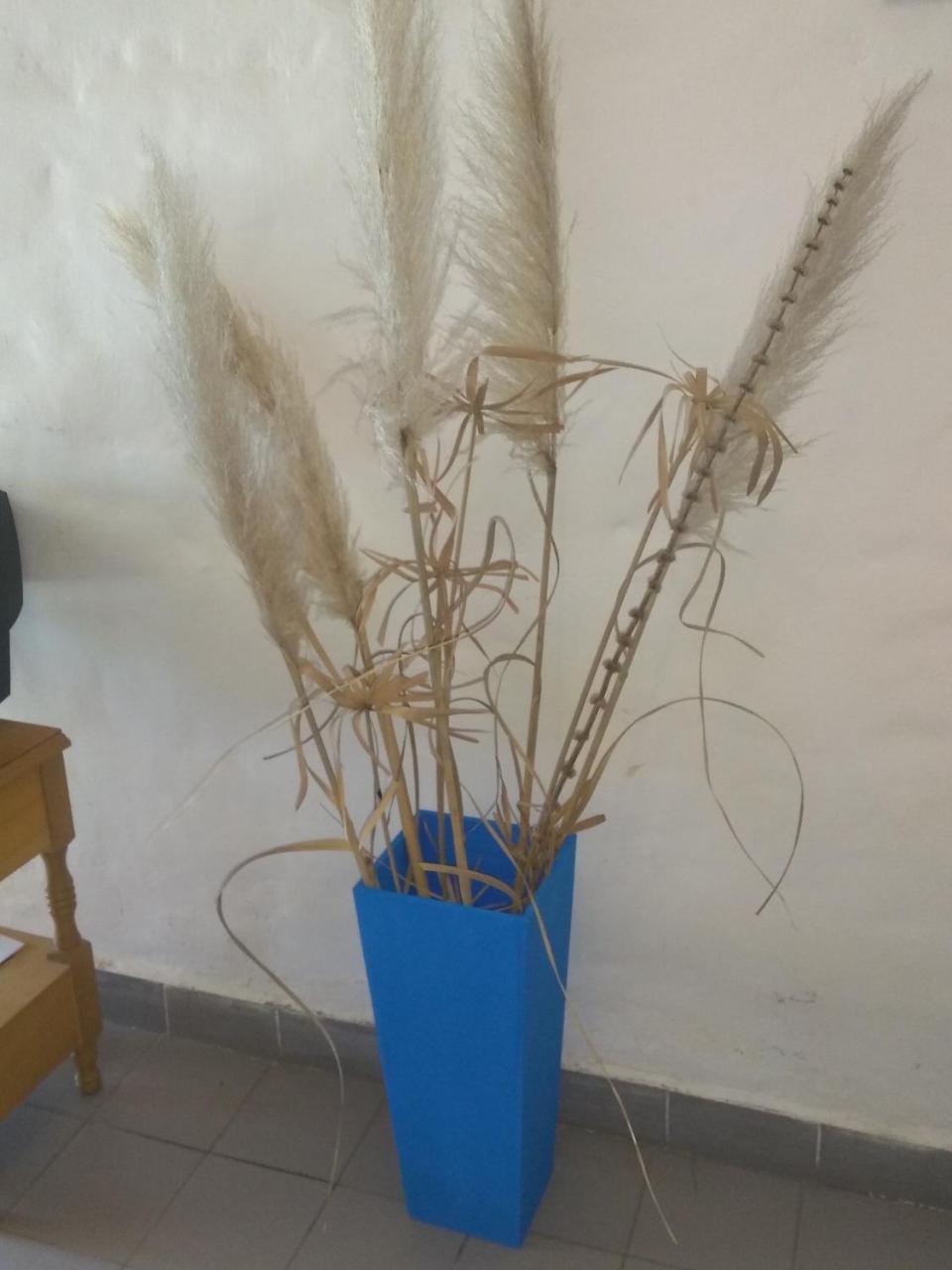 Complejo Viejo Sulky Appartement Mina Clavero Buitenkant foto
